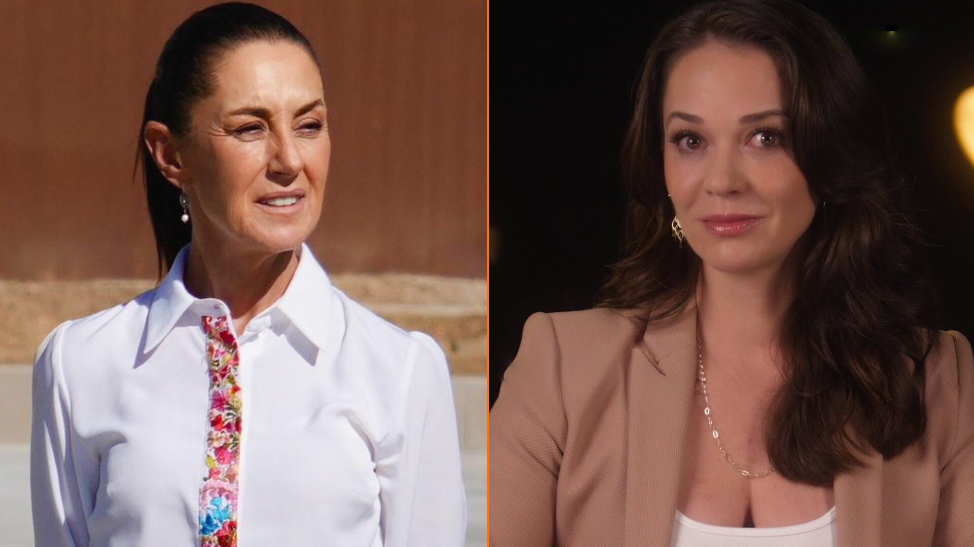 A través de su cuenta en X, Laisha Wilkins pidió a la presidenta el mismo respaldo. (claudia_shein, laisha_wilkins / Instagram)