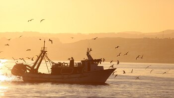 España, Francia e Italia piden