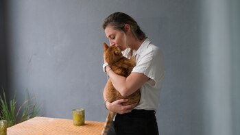 Jouer avec votre chat développe