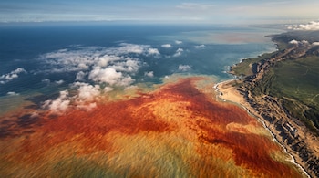 Vista aérea de la costa y el océano con una franja de agua rojiza cerca de la playa bajo un cielo con nubes