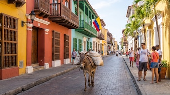 Un burro con bultos camina sobre una calle empedrada. A los lados se ven edificios coloridos con balcones, ventanas, palmeras y personas.