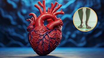 La prueba de las piernas