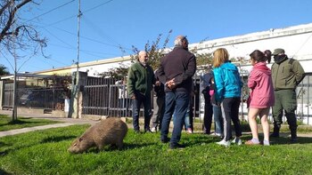 Los vecinos impidieron que se