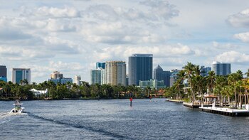 Qué perfil tienen y qué