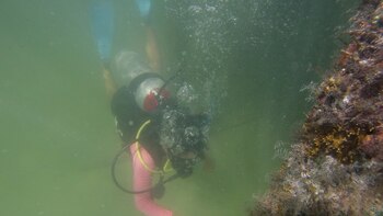 Del Pacífico al mar de