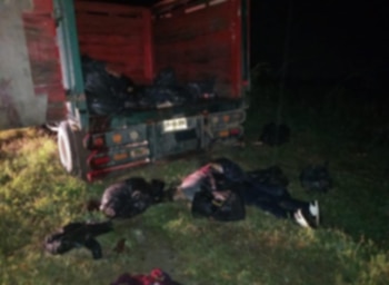 En total fueron seis migrantes