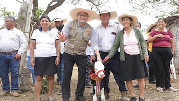 La cría es producto del