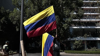 La OEA describe como "una