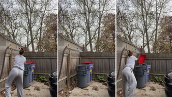 Virales- tacho de basura