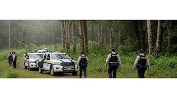 Agentes de la Policía de Costa Rica con uniforme oscuro y chalecos, junto a patrullas blancas, caminan por un sendero en un bosque de densa vegetación.