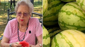 La cuenta @adoptaunabuelo comparte historias