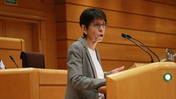 El PNV lleva al Senado