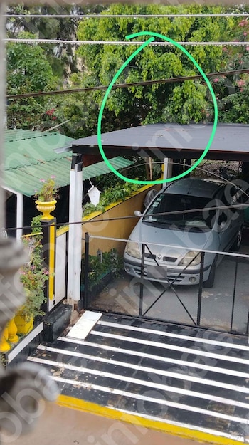 Denunció a los vecinos de al lado por hostigamiento, pero la Justicia rechazó la demanda y deberá pagar las costas del juicio