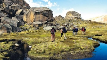 Grupo de personas con mochilas y bastones camina por un terreno rocoso y cubierto de musgo verde con un arroyo a la derecha, bajo un cielo parcialmente nublado