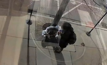 La mascota fue sustraída en