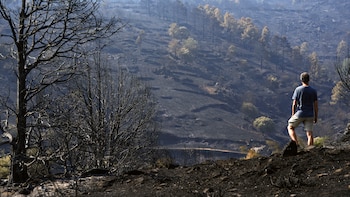 Última hora de los incendios en España, en directo: los primeros evacuados regresan a sus casas mientras los fuegos siguen activos en Ávila-Madrid y La Vall d’Uixó