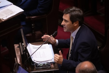 El líder del PRO, Martín