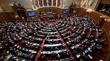 Derecha y centroderecha conservan su mayoría en elecciones parciales al Senado y la ultraderecha forma grupo
