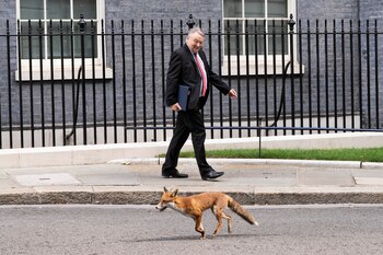 Expertos advierten que la habituación