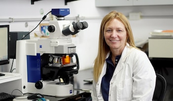 Gabriela Carolina Pagnussat, Investigadora principal