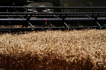 Para acceder a la alícuota