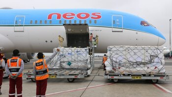 COVID-19: Perú recibió 766 mil