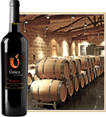 El lanzamiento oficial del vino