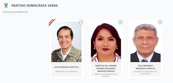 Lista de vicepresidentes en Perú 2026: estos son los acompañantes de cada candidato: Captura: ONPE.