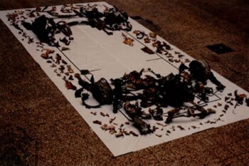 Los restos que pudieron ser