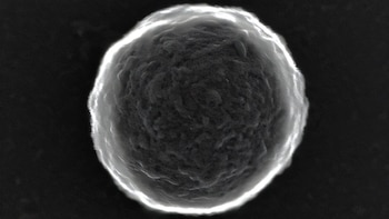 Científicos prueban microrobots que identifican