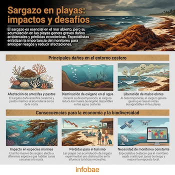 Infografía sobre el sargazo en playas que muestra su impacto en arrecifes, oxígeno, olores, especies marinas, turismo y monitoreo.
