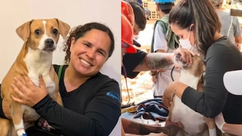 En video: rescatan con vida a Meli, la perrita que pasó cuatro días bajo los escombros en Cali