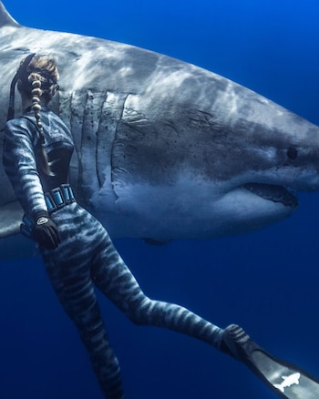 Ocean Ramsey