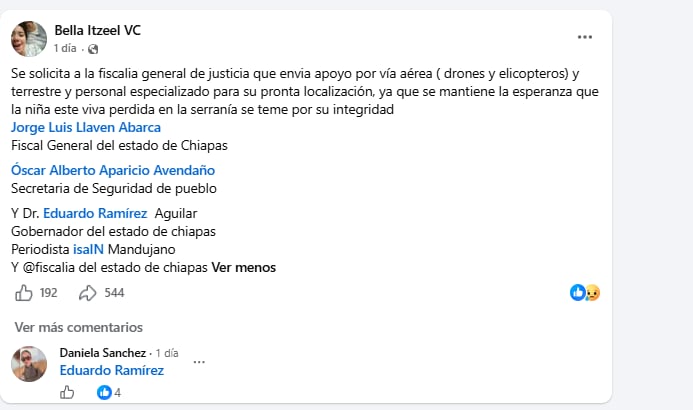 Desaparición de Ariana Scarlett Velázquez Cruz mantiene en alerta a Ostuacán, Chiapas. (Captura de pantalla)