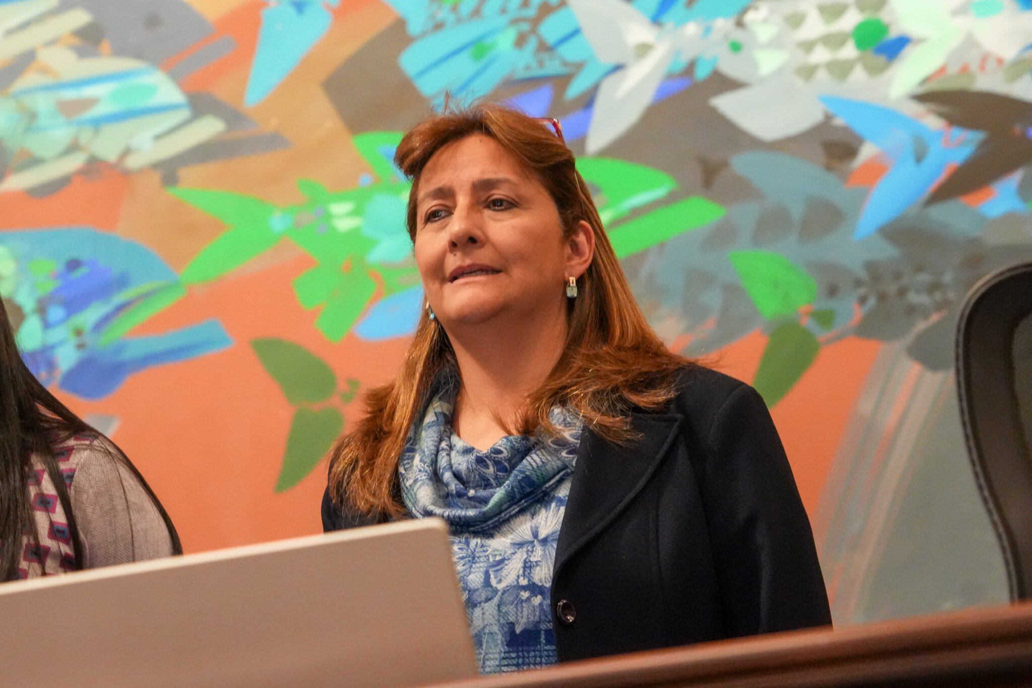 Ángela María Buitrago, minstra de Justicia, afirmó que Epa Colombia no puede acogerse a la ley que beneficia a las madres cabeza de hogar que actualmente cumplen penas de prisión - crédito @MinjusticiaCo/X