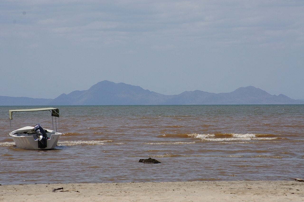 Las inundaciones y el crecimiento del lago Turkana, relacionado con el cambio climático, acercaron a los cocodrilos del Nilo a zonas habitadas de la región