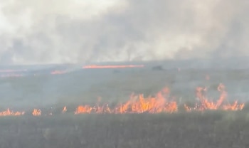 Incendio forestal con llamas de color naranja y amarillo que se propagan sobre la vegetación baja y generan densas columnas de humo gris