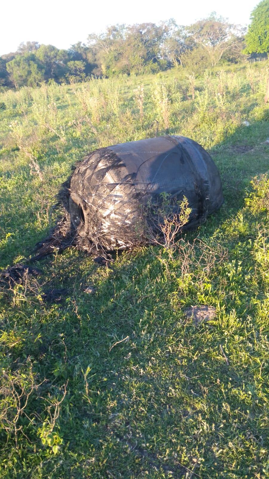 Personal especializado revisó el objeto y constató que no contenía ningún material combustible ni presentaba riesgos visibles
