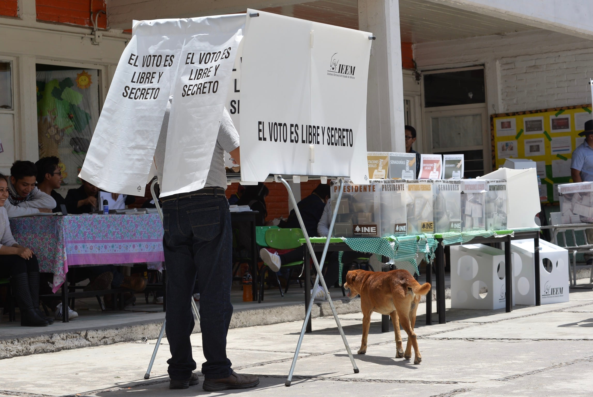 El Proceso Electoral rumbo a los comicios de 2027 ya inició, en éste se elegirán 17 gubernaturas, diputaciones federales y miles de cargos locales. (Foto: CUARTOSCURO.COM)