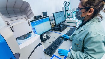 La minería demanda perfiles profesionales