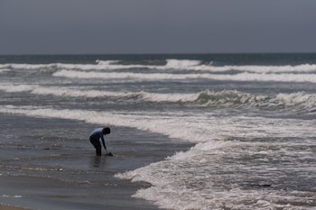Un bañista con traje de baño y camisa de manga larga se agacha en la orilla del mar, usando una red. Hay olas rompiendo en la playa