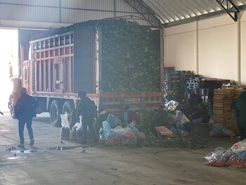 Martínez Fuentes no aparece en