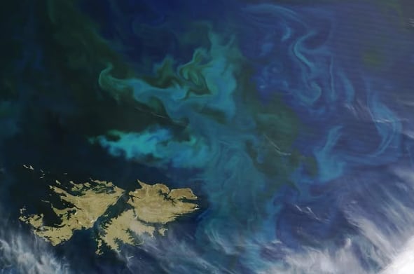 Una petrolera anunció que comenzará a explotar una plataforma al norte de las Islas Malvinas (Instagram @NASA)