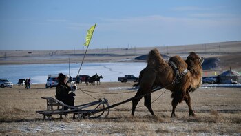 Un hombre monta un trineo