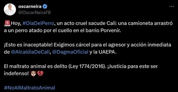 Diputado de la Alianza Verde