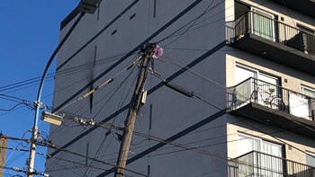 El incendio se originó en