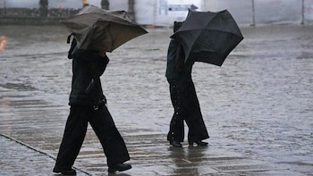 Enero de 2026 fue el