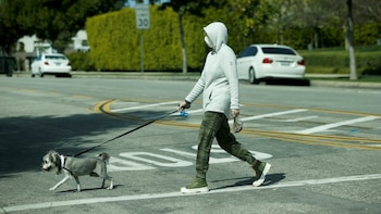 Coronavirus: no hay mal que