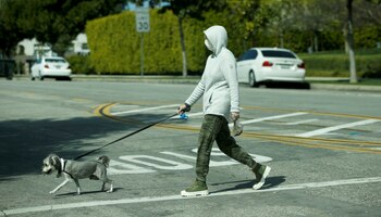 Un hombre pasea su perro