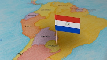Paraguay restringe el ingreso de material avícola desde Santa Catarina por un brote sanitario